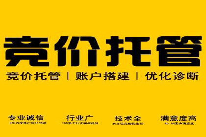 SEM竞价代运营成功案例解析